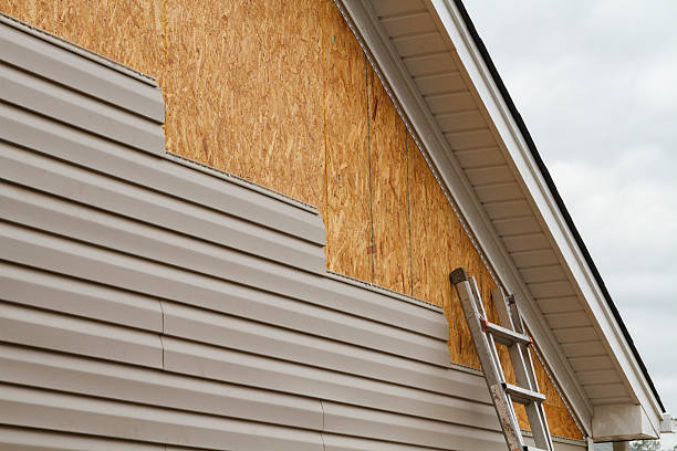 Best Custom Trim and Detailing for Siding  in Faith, NC